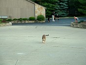 DSCF0005.JPG