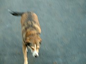 DSCF0006.JPG