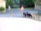 DSCF0007.JPG
