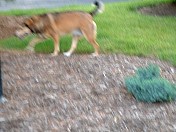 DSCF0008.JPG