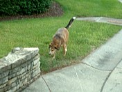 DSCF0009.JPG