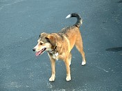 DSCF0010.JPG