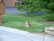 DSCF0011.JPG